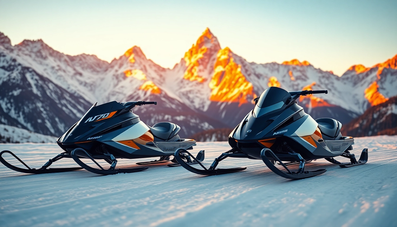 Auto Kufen auf einer verschneiten Berglandschaft mit optimaler Bauweise für hohe Leistung.